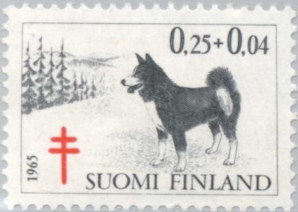 Chien - Timbre - Finlande (1965)