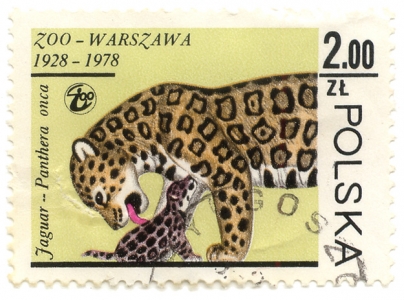 Jaguar - Timbre - Pologne