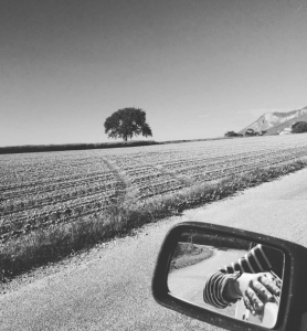 On the road (Photographie de Claire Libaux)