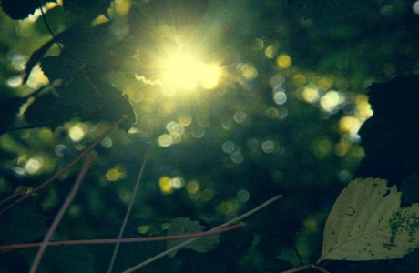 Lumière (Photographie de Claire Libaux)