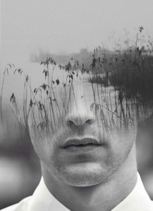 Image no. 411