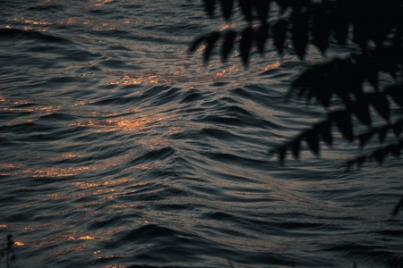 Image no. 412