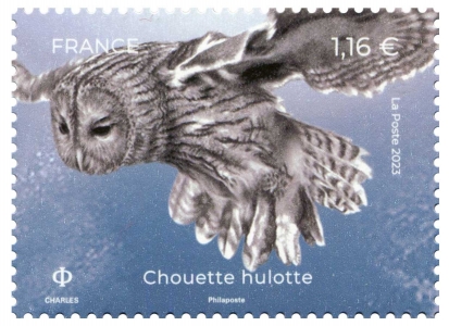 Chouette hulotte - Timbre - France (2023)