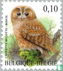 Chouette hulotte - Timbre - Belgique