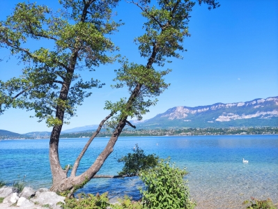 Le lac du Bourget (Savoie)