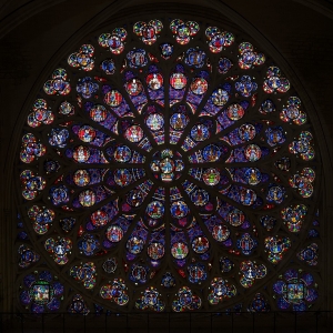 Rose sud - Notre Dame de Paris